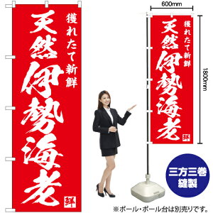 lꂽ VRɐCV ̂ڂ AKB-676i󒍐YiELZsj