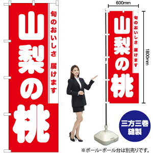 R̓ ̂ڂ AKB-828i󒍐YiELZsj