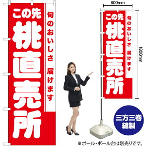 ̐操 ̂ڂ AKB-831i󒍐YiELZsj