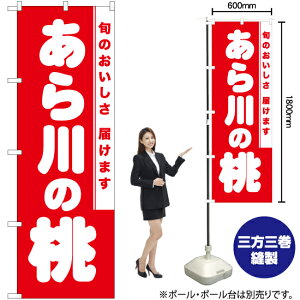 ̓ ̂ڂ AKB-838i󒍐YiELZsj