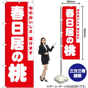 t̓ ̂ڂ AKB-845i󒍐YiELZsj