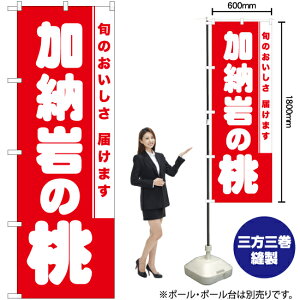 [̓ ̂ڂ AKB-846i󒍐YiELZsj