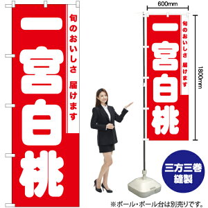 { ̂ڂ AKB-865i󒍐YiELZsj