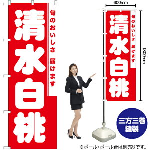  ̂ڂ AKB-866i󒍐YiELZsj