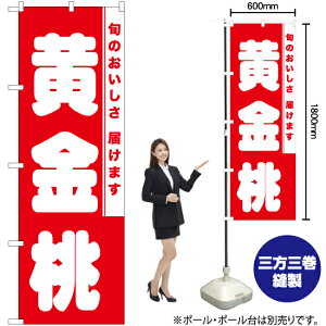  ̂ڂ AKB-872i󒍐YiELZsj