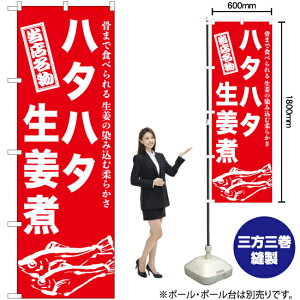 n^n^I ̂ڂ AKB-942i󒍐YiELZsj