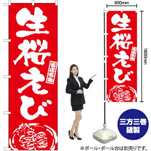 сiMj ̂ڂ AKB-987i󒍐YiELZsj