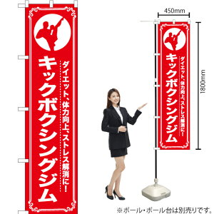 LbN{NVOW X}[ĝڂ AKBS-1087i󒍐YiELZsj