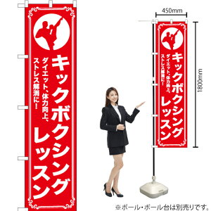 LbN{NVObX X}[ĝڂ AKBS-1089i󒍐YiELZsj