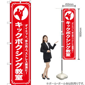 LbN{NVO X}[ĝڂ AKBS-1090i󒍐YiELZsj