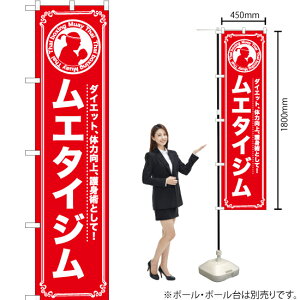 G^CW X}[ĝڂ AKBS-1091i󒍐YiELZsj