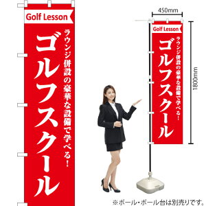 EW StXN[ X}[ĝڂ AKBS-1110i󒍐YiELZsj