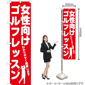 StbX X}[ĝڂ AKBS-1127i󒍐YiELZsj