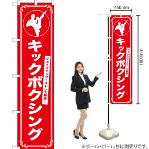 VFCvAbvILbN{NVO X}[ĝڂ AKBS-1184i󒍐YiELZsj