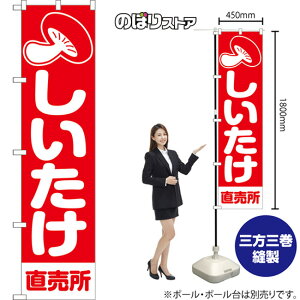 X}[ĝڂ   iԁj AKBS-1405 i󒍐YiELZsj