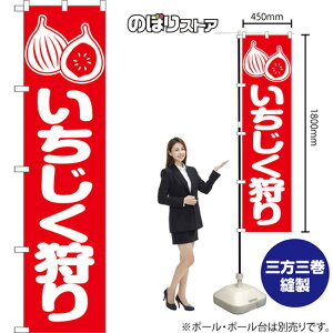 X}[ĝڂ  iԁj AKBS-1462 i󒍐YiELZsj