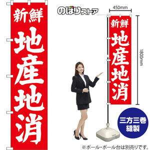 X}[ĝڂ nYn VN iԁj AKBS-1494 i󒍐YiELZsj