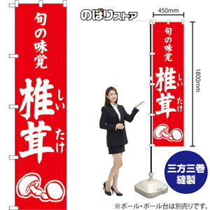 X}[ĝڂ ő {̖o iԁj AKBS-1537 i󒍐YiELZsj