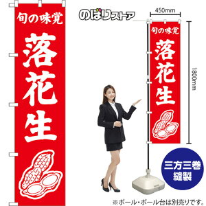 X}[ĝڂ Ԑ {̖o iԁj AKBS-1546 i󒍐YiELZsj