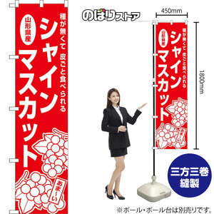 X}[ĝڂ R`YVC}XJbg 킪 炲ƐHׂ iԁj AKBS-1568 i󒍐YiELZsj