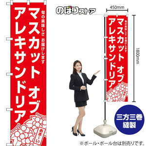 X}[ĝڂ }XJbgIuALThA {̔ ͂܂ iԁj AKBS-1574 i󒍐YiELZsj