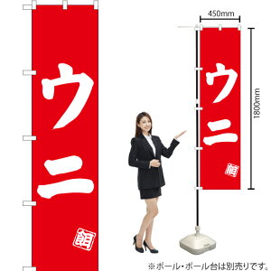 Ej X}[ĝڂ AKBS-500i󒍐YiELZsj