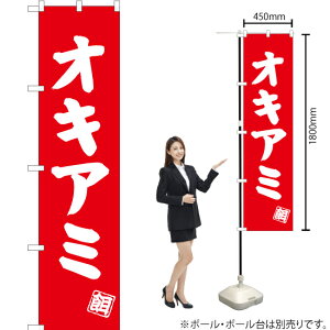 ILA~ X}[ĝڂ AKBS-507i󒍐YiELZsj