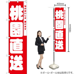  X}[ĝڂ AKBS-834i󒍐YiELZsj