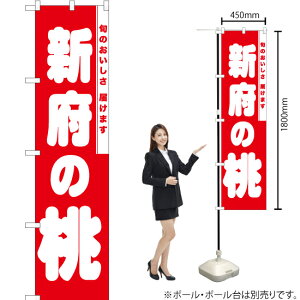 V{̓ X}[ĝڂ AKBS-841i󒍐YiELZsj