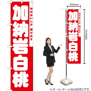 [┒ X}[ĝڂ AKBS-863i󒍐YiELZsj