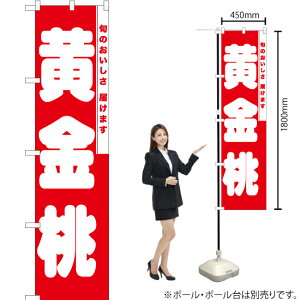  X}[ĝڂ AKBS-872i󒍐YiELZsj