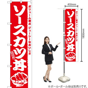 \[XJc X}[ĝڂ AKBS-939i󒍐YiELZsj