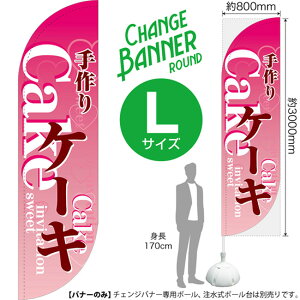 `FWoi[R iEh^Cvj LTCY P[L DRL-0050i󒍐YiELZsj