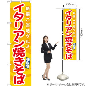 C^AĂ΁ij X}[ĝڂ ENS-490i󒍐YiELZsj