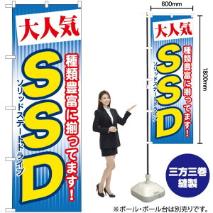 lC SSD ̂ڂ GNB-125 i󒍐YiELZsj
