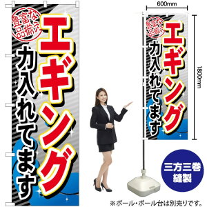 GMO͓Ă܂ ̂ڂ GNB-381 i󒍐YiELZsj