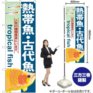 Mы EÑ㋛ ̂ڂ GNB-567 i󒍐YiELZsj