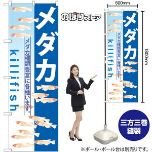 _J ̂ڂ GNB-571 i󒍐YiELZsj