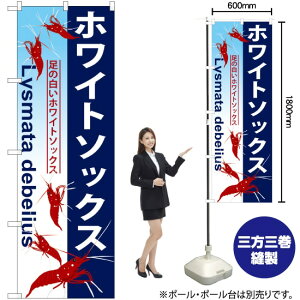 zCg\bNX ̂ڂ GNB-576 i󒍐YiELZsj