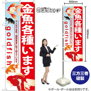 ̂ڂ e킢܂ GNB-581 i󒍐YiELZsj