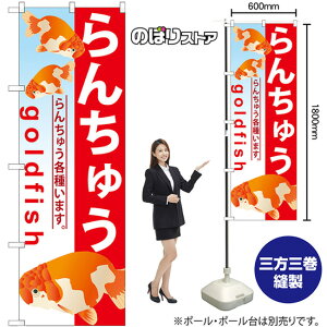 񂿂イ ̂ڂ GNB-583 i󒍐YiELZsj