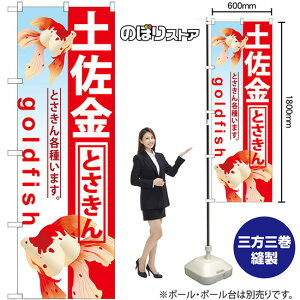 y ̂ڂ GNB-586 i󒍐YiELZsj