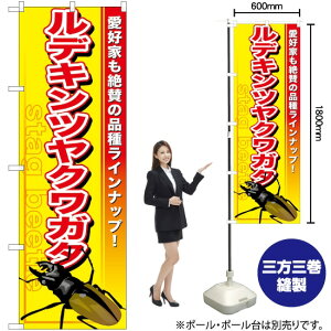 fLcNK^ ̂ڂ GNB-595 i󒍐YiELZsj