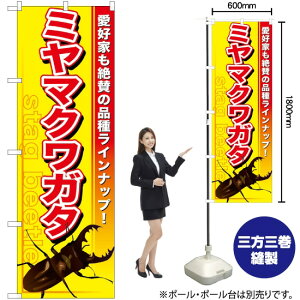 ~}NK^ ̂ڂ GNB-597 i󒍐YiELZsj