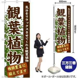 ϗtA ̂ڂ GNB-1071 i󒍐YiELZsj