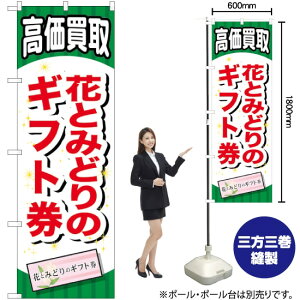 ԂƂ݂ǂ̃Mtg ̂ڂ GNB-2071 i󒍐YiELZsj