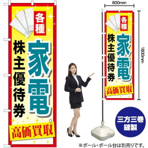 ƓdDҌ  ̂ڂ GNB-2089 i󒍐YiELZsj