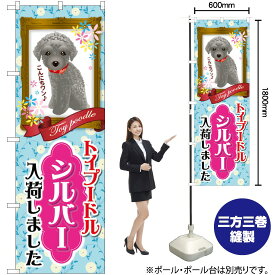 楽天市場 トイプードル シルバーの通販 楽天市場 トイプードル シルバーの通販