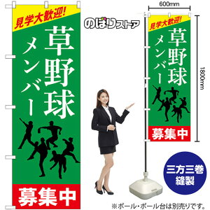 【3枚まで送料297円 】草野球メンバー募集中 のぼり GNB-3363(受注生産品・キャンセル不可)