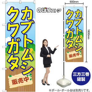 JugVNK^̔ ̂ڂ GNB-3681 i󒍐YiELZsj